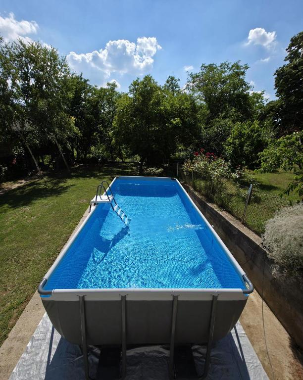 ein großer Swimmingpool im Garten in der Unterkunft Log cabin in Belgrad