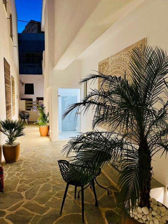 a palm tree in a room with a chair at Ione Inn in Naxos Chora