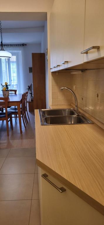 a kitchen with a stainless steel sink and a table at Casa Pino Malè in Malè