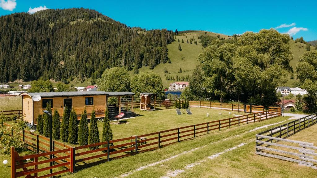 a farm with a fence and a field with trees at La Casuta din Ciocanesti Exclusive in Ciocăneşti