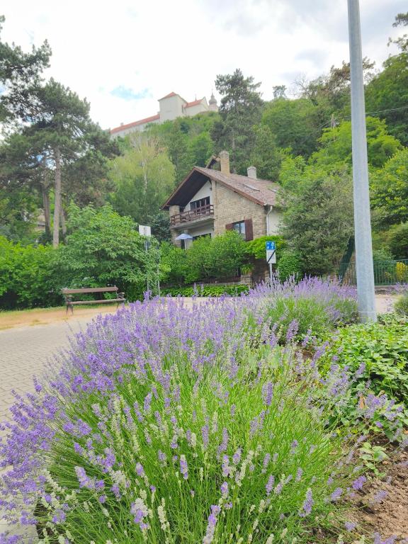 a garden with purple flowers in front of a house at Váralja Vendégház Tihany in Tihany