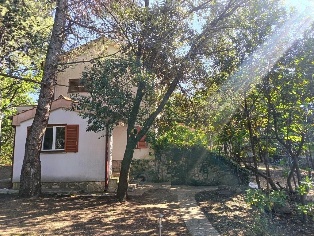 a house with trees in front of it at Pine Breeze in Punat