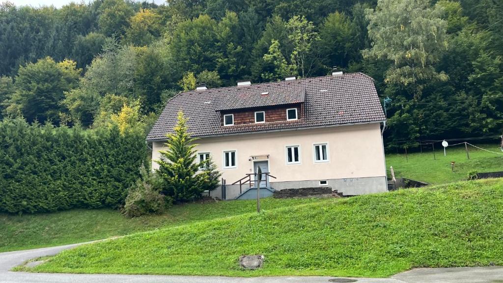 a house on the side of a hill at Haus Vranjes in Rosenau am Hengstpass
