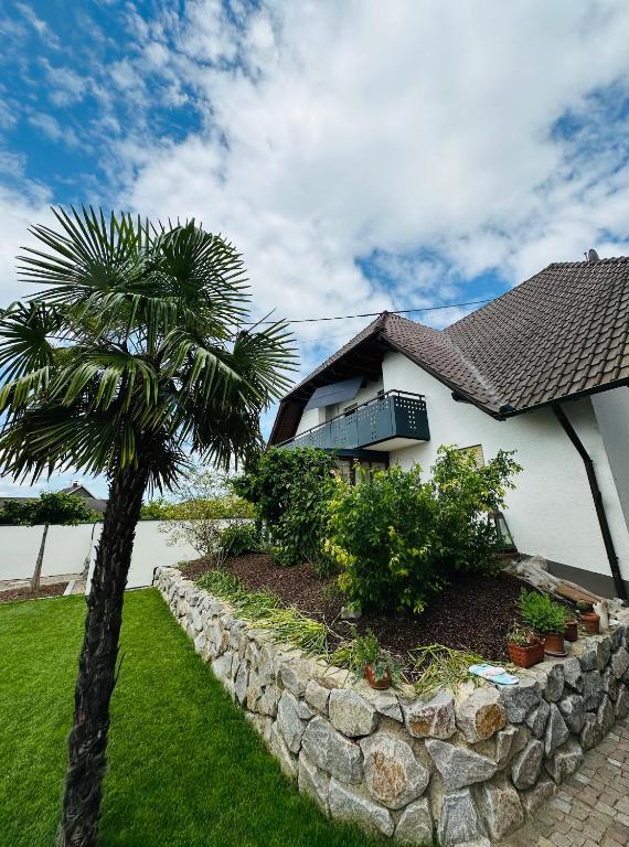 a palm tree in front of a house at FeWo Ruf in Sasbach am Kaiserstuhl