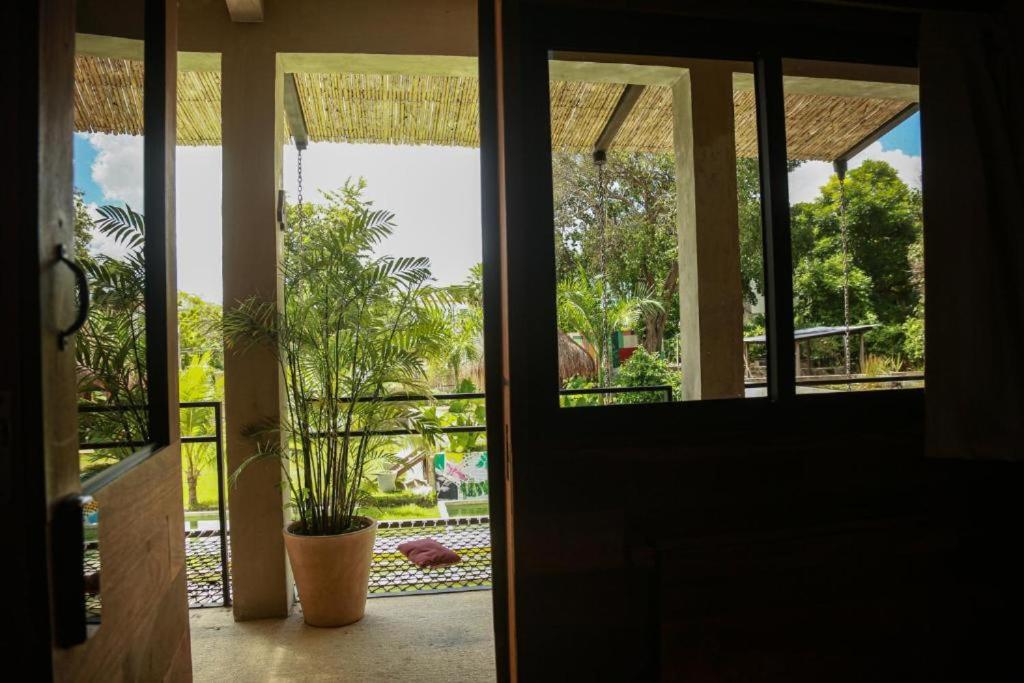 Hotel Makaabá Eco-Boutique - Queen Oda - Havuz Manzaralı (Minik Ev Konsepti)