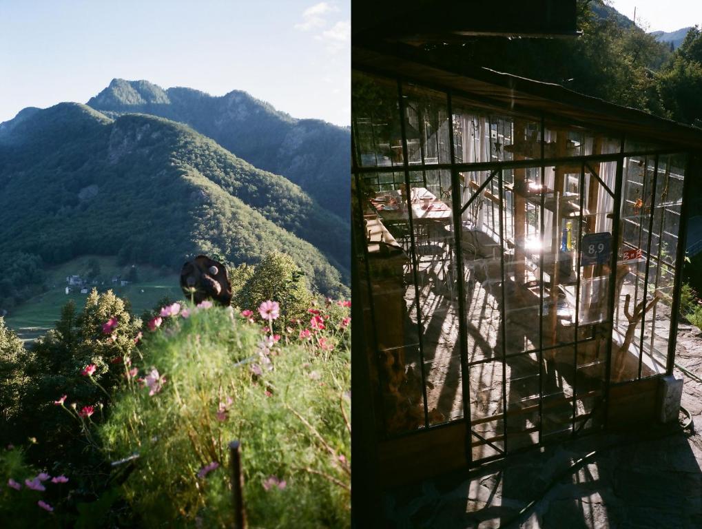 Vista generica sulle montagne o vista sulle montagne dall'interno del bed & breakfast