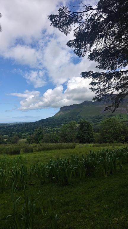 a field of grass with a mountain in the background at Glencar in Sligo