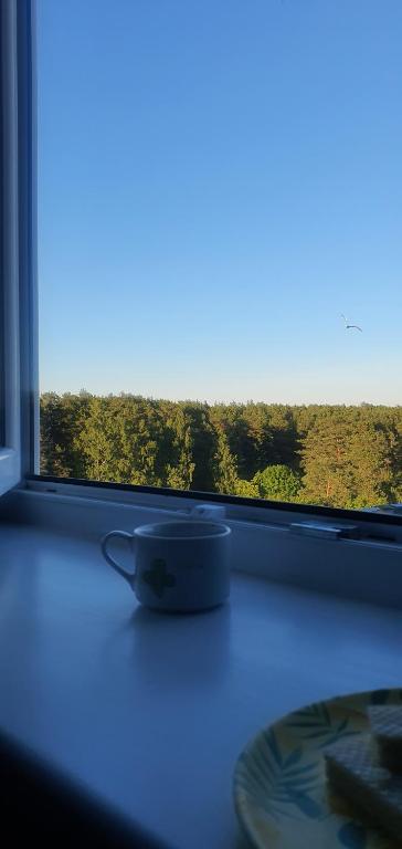 a blue cup and a plate on a window sill at Sunset Bird Watcher Apartament in Visaginas