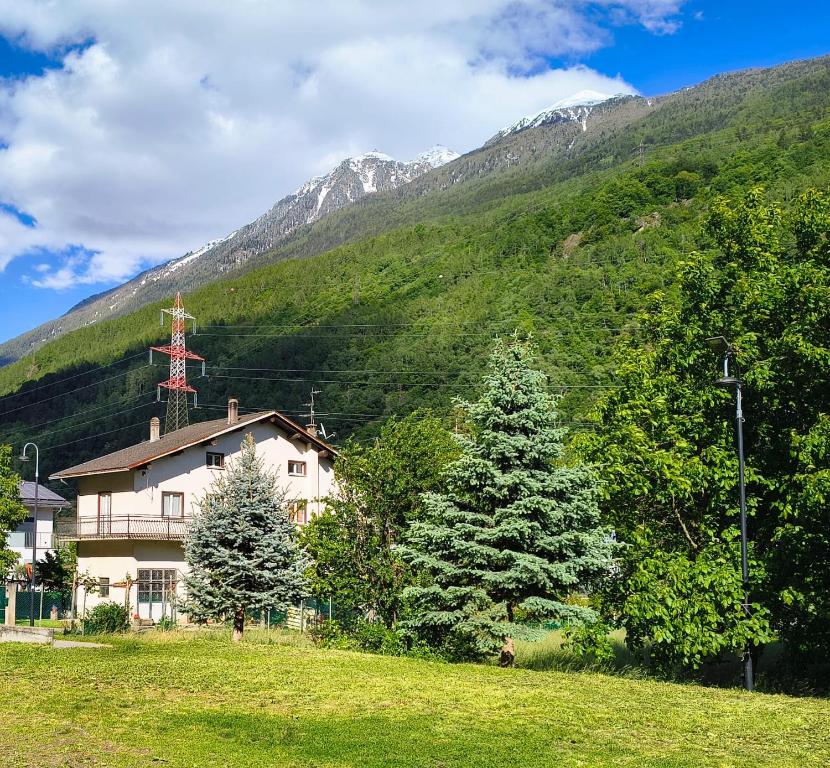 a house with a christmas tree in front of a mountain at Al Capitel in Grosotto