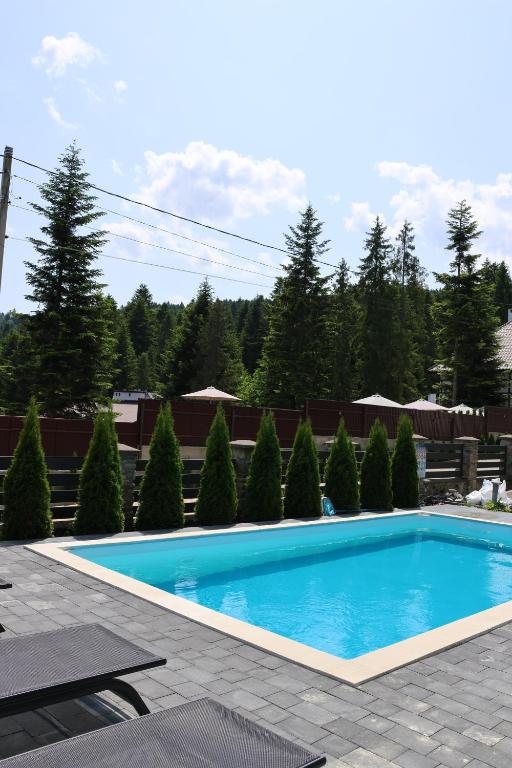 a swimming pool in a yard with trees at Феєрія Лісу in Skhidnitsa
