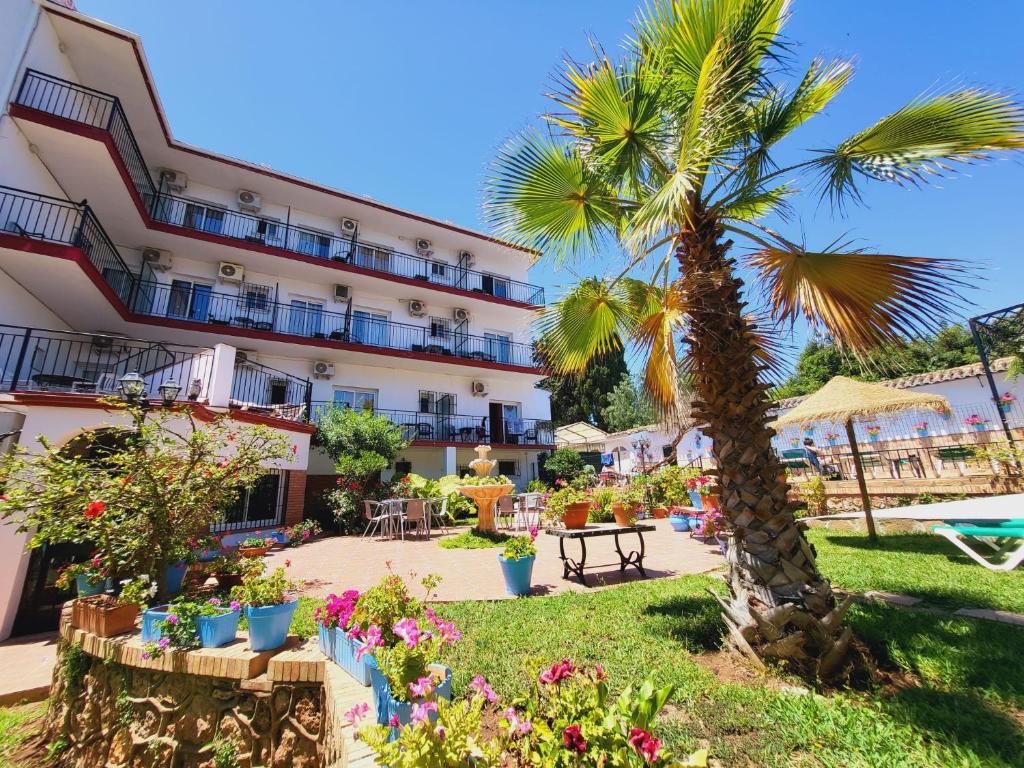 a hotel with a palm tree in front of it at Hotel Carmen Teresa in Torremolinos