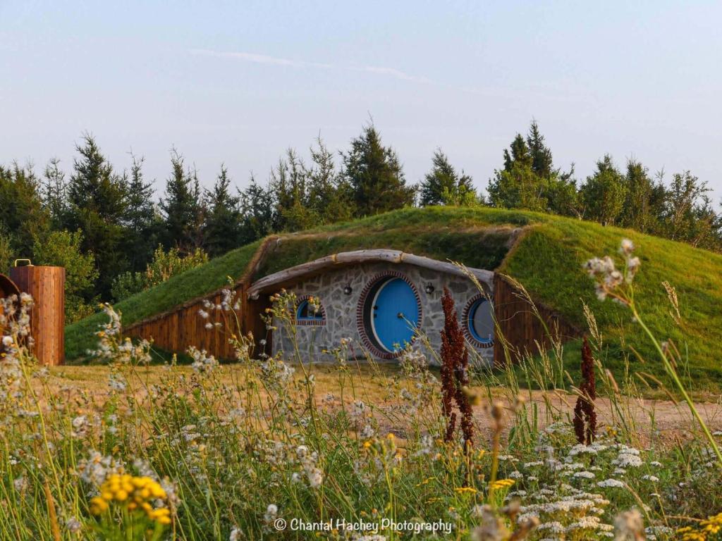 a grass roofed house with a blue window in a field at Terra Experience in Shippagan
