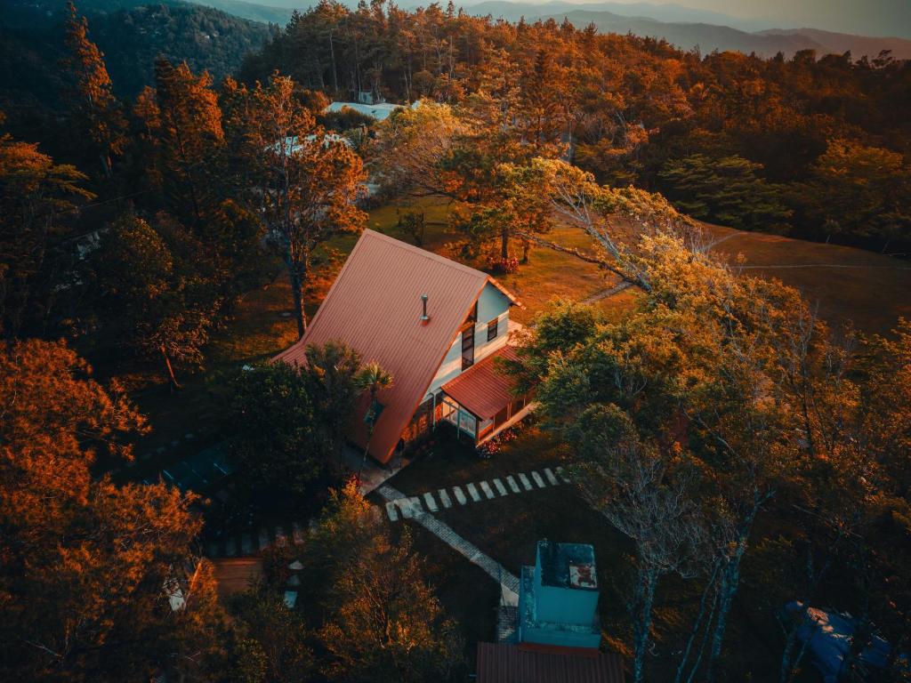 an overhead view of a house in the woods at La Dama de los vientos in Cerro Azul