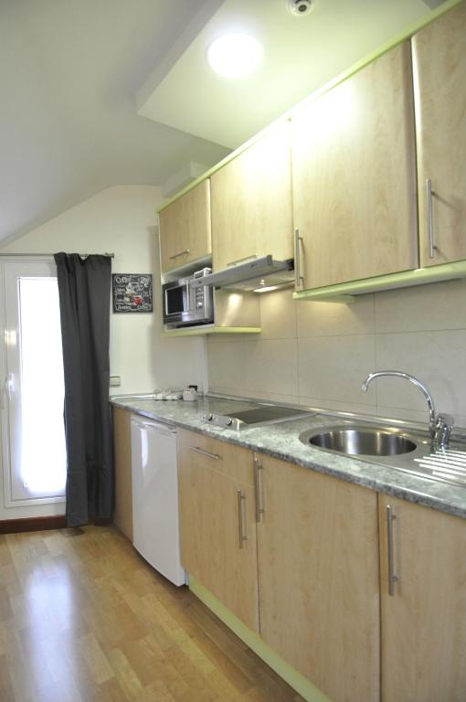 Kuchyňa alebo kuchynka v ubytovaní Hotel Apartamentos Aralso
