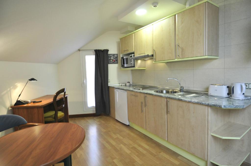 Kuchyňa alebo kuchynka v ubytovaní Hotel Apartamentos Aralso
