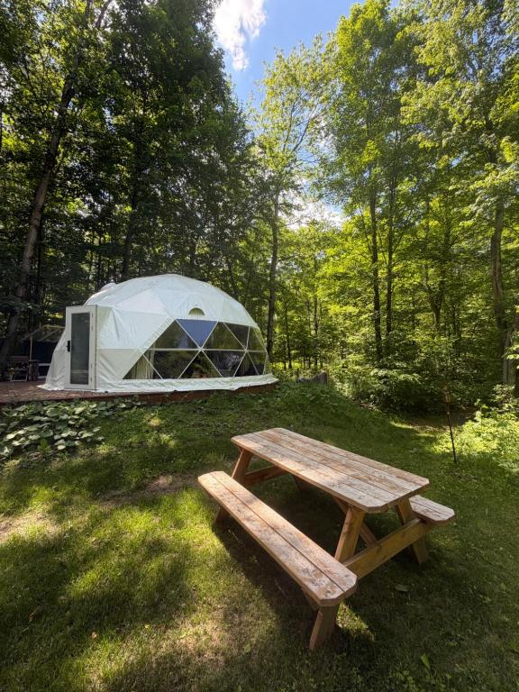O grădină în afara Le Dôme, nature, ressourcement et sauna