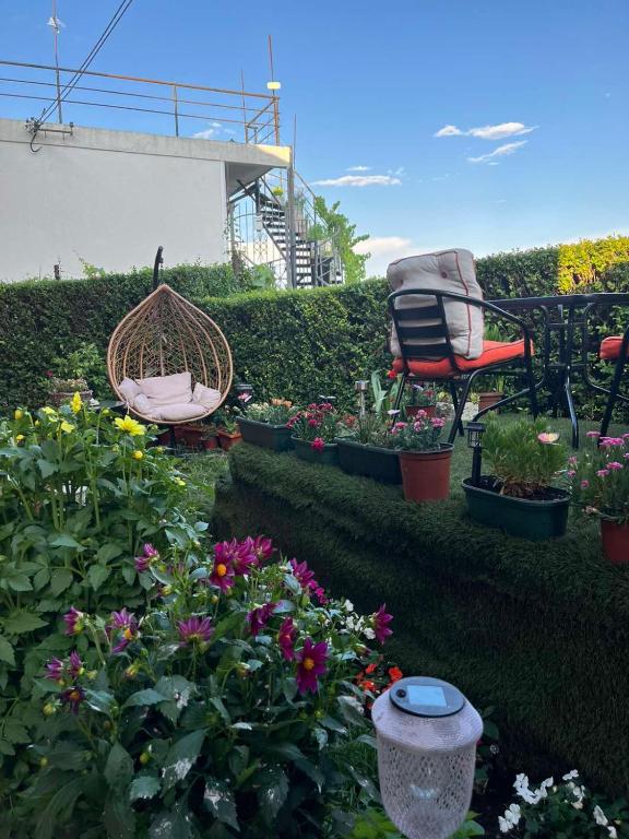 a garden with a chair and flowers in pots at JOCKER in Virpazar
