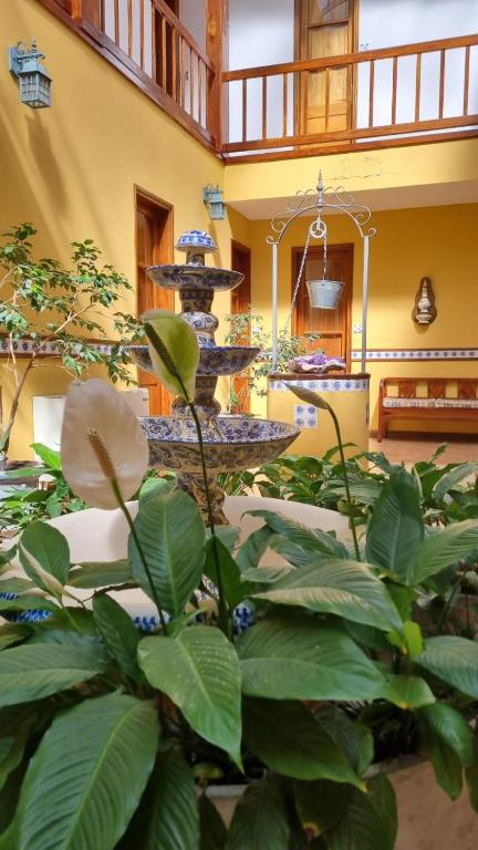 a fountain in the middle of a room with plants at Hotel Italiano in Colonia del Sacramento