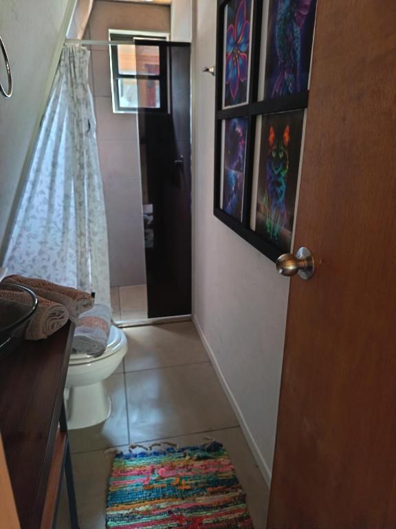 a small bathroom with a toilet and a door at Alpinas del bosque II in Maldonado
