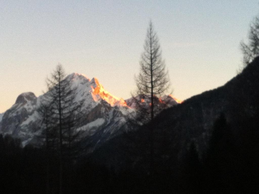 a view of a mountain with trees in the foreground at Appartamento Ivo in Campitello di Fassa