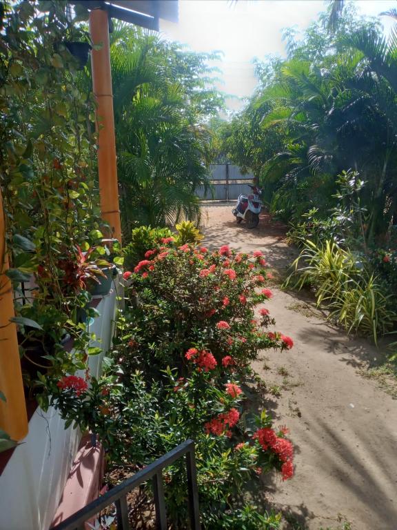 a garden with red flowers and a dirt road at U new guest house in Nilaveli