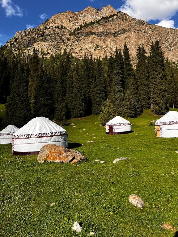 three tents in a field in front of a mountain at Kapchygai Yurt Camp in Dzhetyoguz
