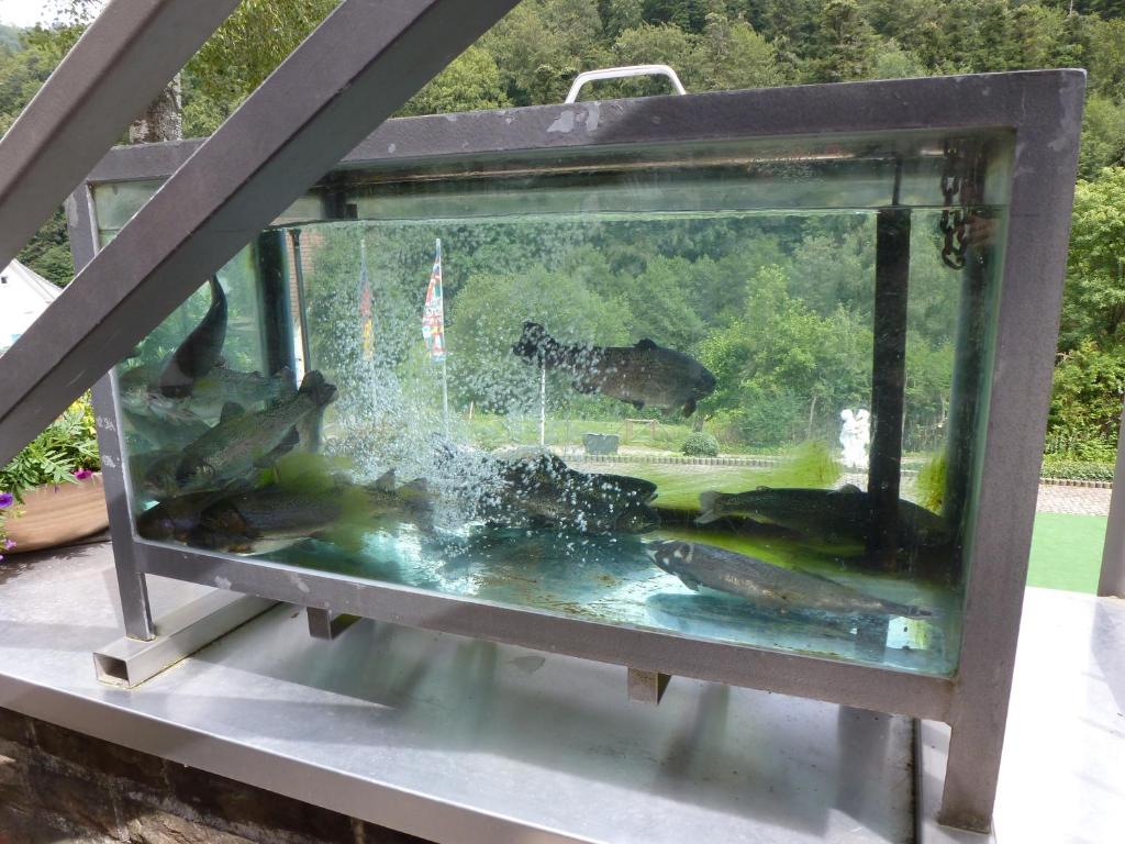 Zahrada ubytování Waldschlösschen