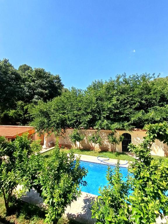a swimming pool in a yard with trees at La Llar del Magraner in Barraca de Aguas Vivas