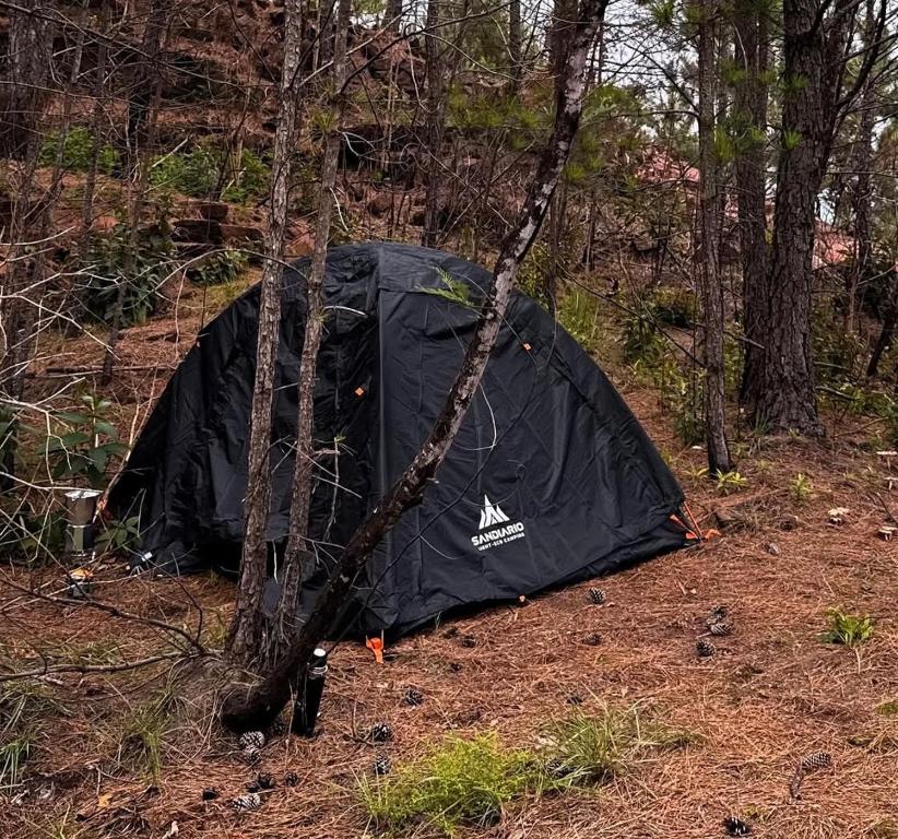 a black tent sitting in the middle of a forest at Cantinho da Floresta in Fontinha
