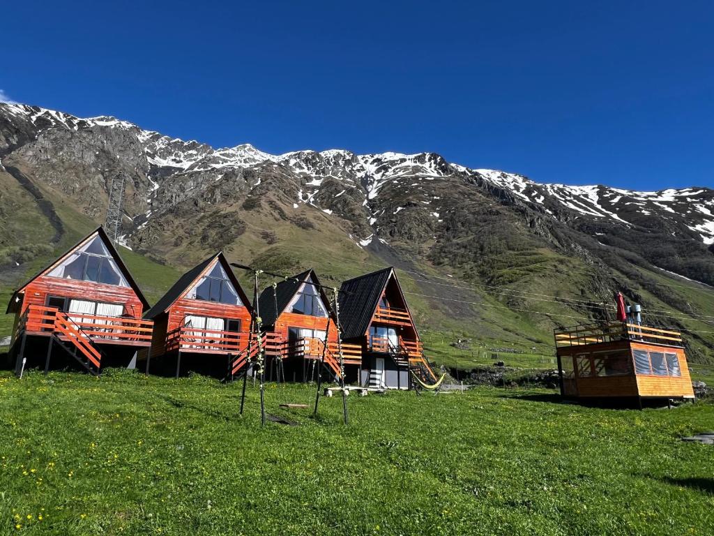a row of cabins in a field with a mountain at Cozy Home Kazbegi in Kazbegi