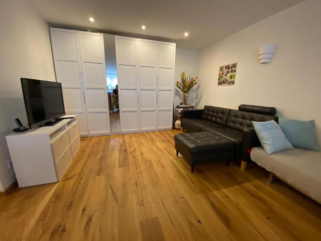 a living room with a couch and a television at Schöne 2-Zimmer-Souterrainwohnung mit Terrasse in Offenburg