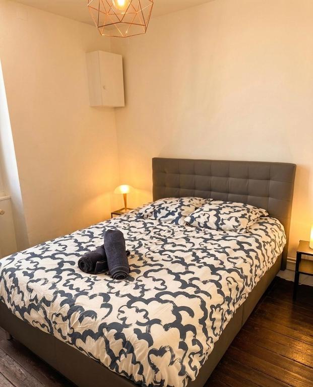 2 chambres cosy Centre Dijon Parc Wilson