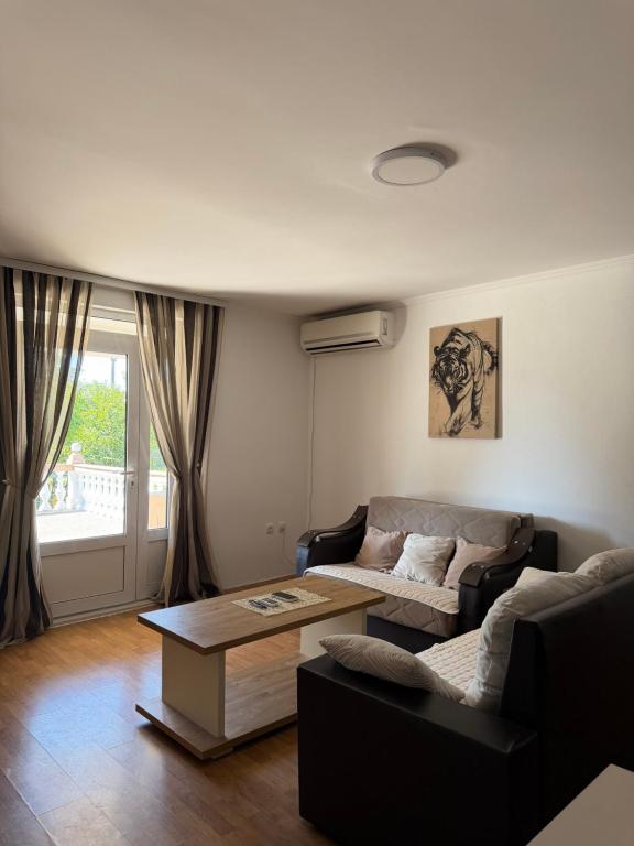 a living room with a couch and a coffee table at Apartments Ana - Airport shuttle option in Podgorica