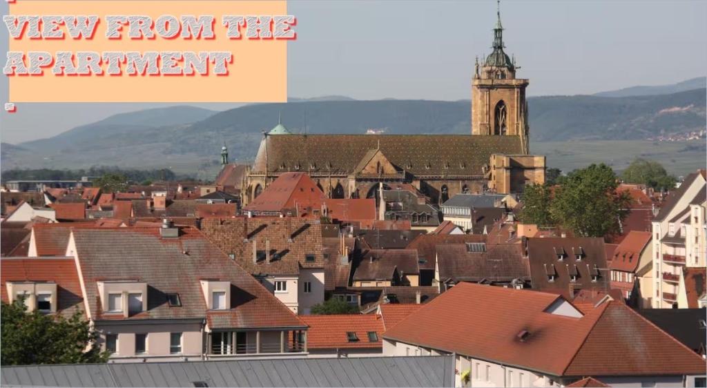 Colmar TOP – photo 8