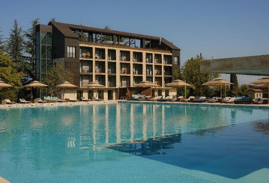 ein großer Swimmingpool mit einem Hotel im Hintergrund in der Unterkunft Hotel Meteo Kakheti in Telawi