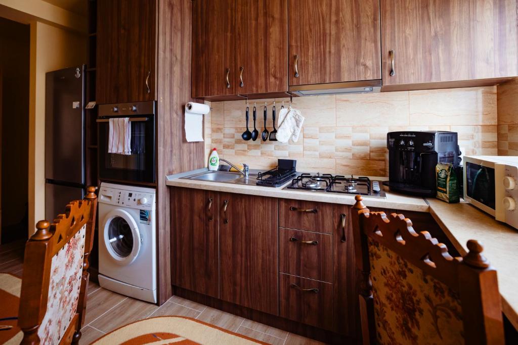 a kitchen with a stove and a sink and a dishwasher at Casa de oaspeți in Brad
