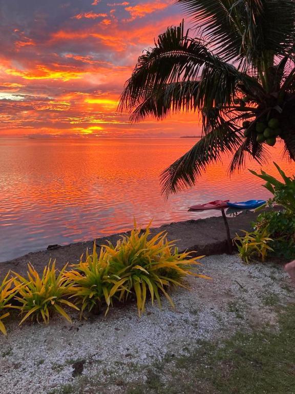 a sunset over the water with a palm tree at Maupiti Authentique in Te-Fare-Arii