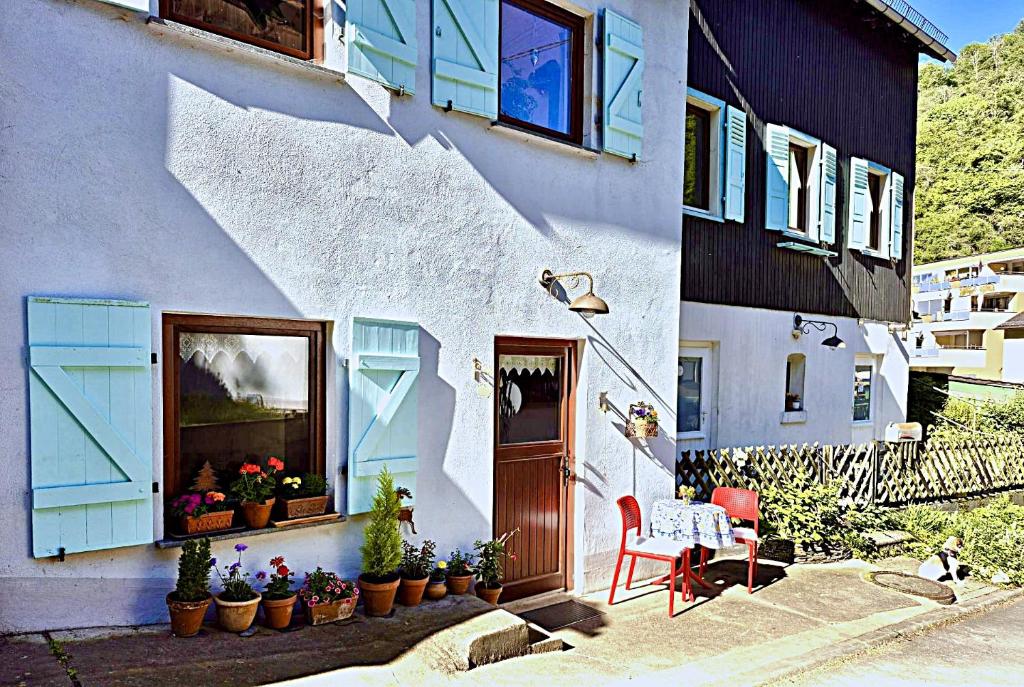 a white building with blue windows and a door and plants at Ferienappartement Tal der Liebe in Sauerthal