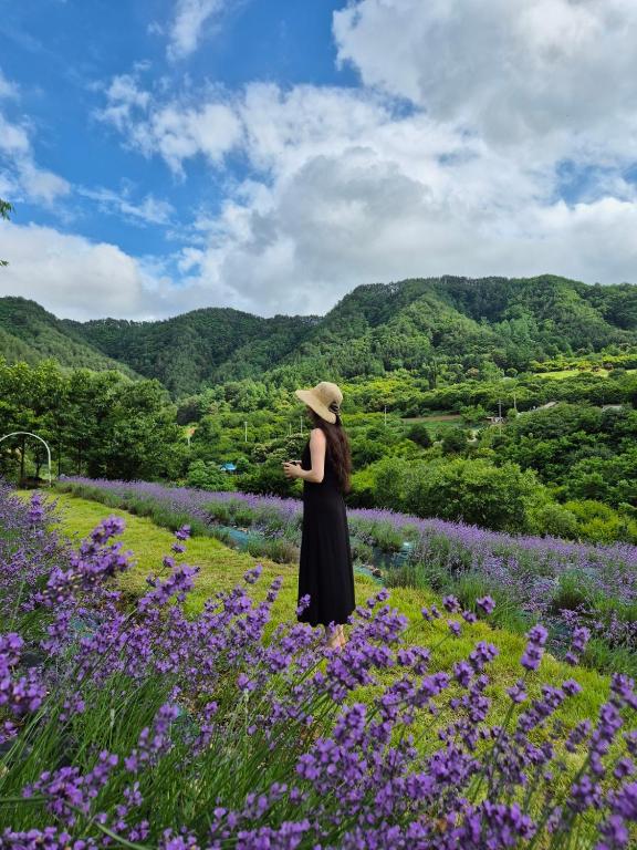 Eine Frau steht in einem Feld mit lila Blumen in der Unterkunft yangwon lavender 양원라벤더 금강송숲길 협곡열차 in Wŏn'gok