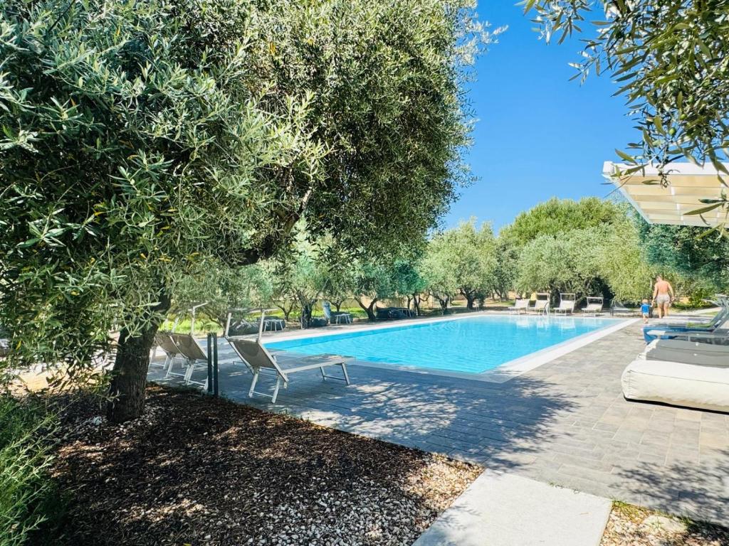 a swimming pool with two chairs and a tree at Armandiola in Cardedu