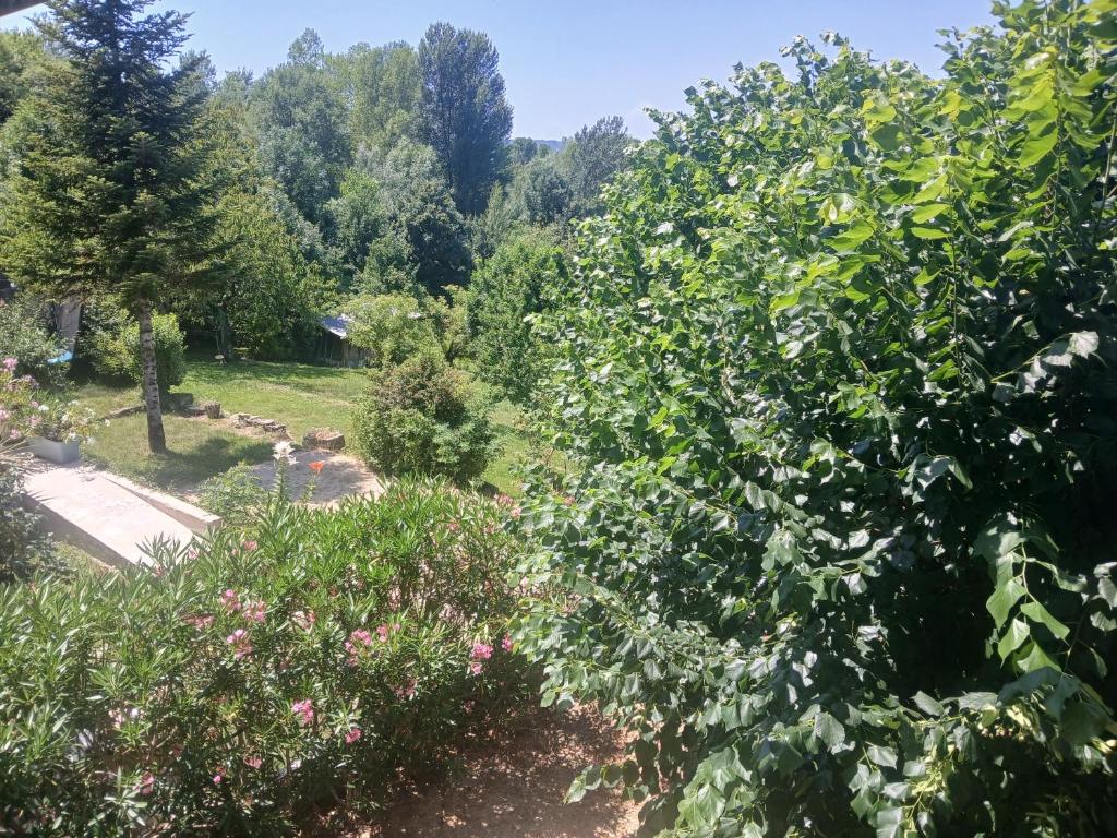 a garden with trees and flowers in a yard at Gite Atchoum in Hostun