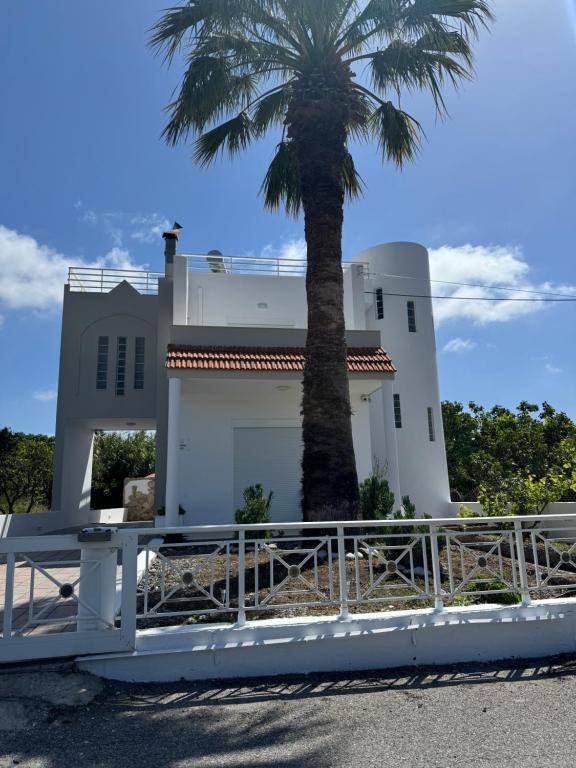 a palm tree in front of a white house at Villa George in Apolakkiá