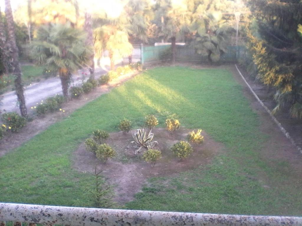 an aerial view of a yard with a garden at Vefxos Guest home in Anaklia