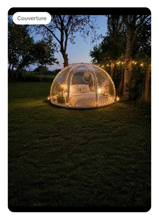 a iguana tent sitting on the grass in a yard at Les pieds dans l'eau Tente transparente in Fleurville