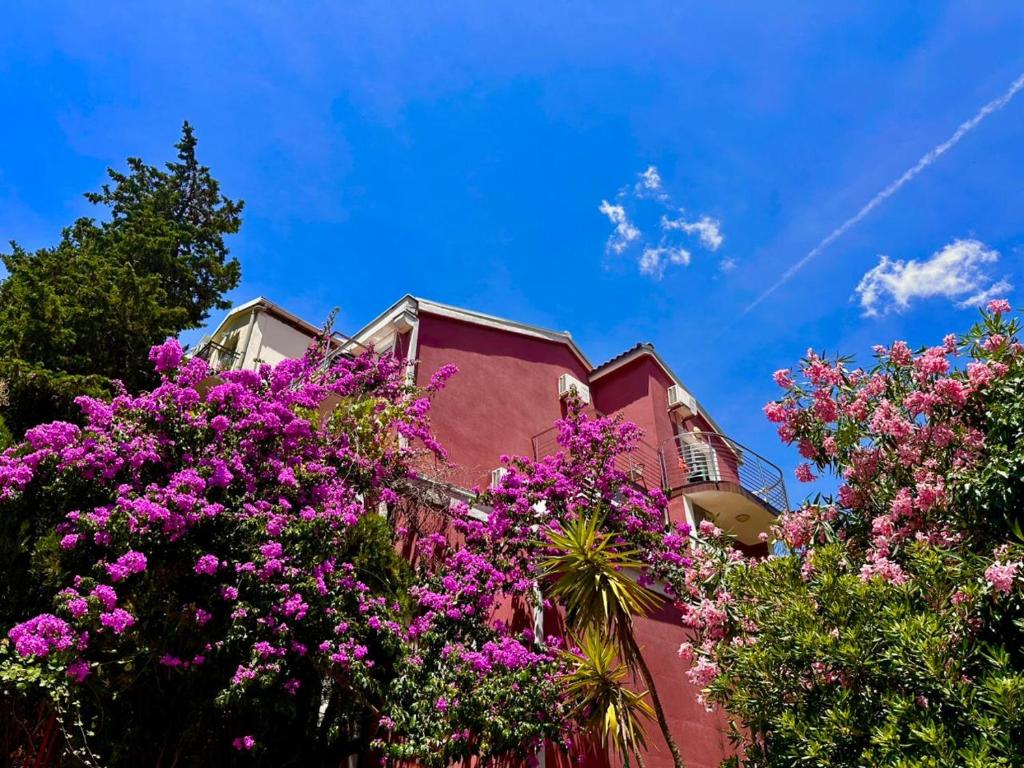 a pink building with purple flowers in front of it at ApartMonte in Budva