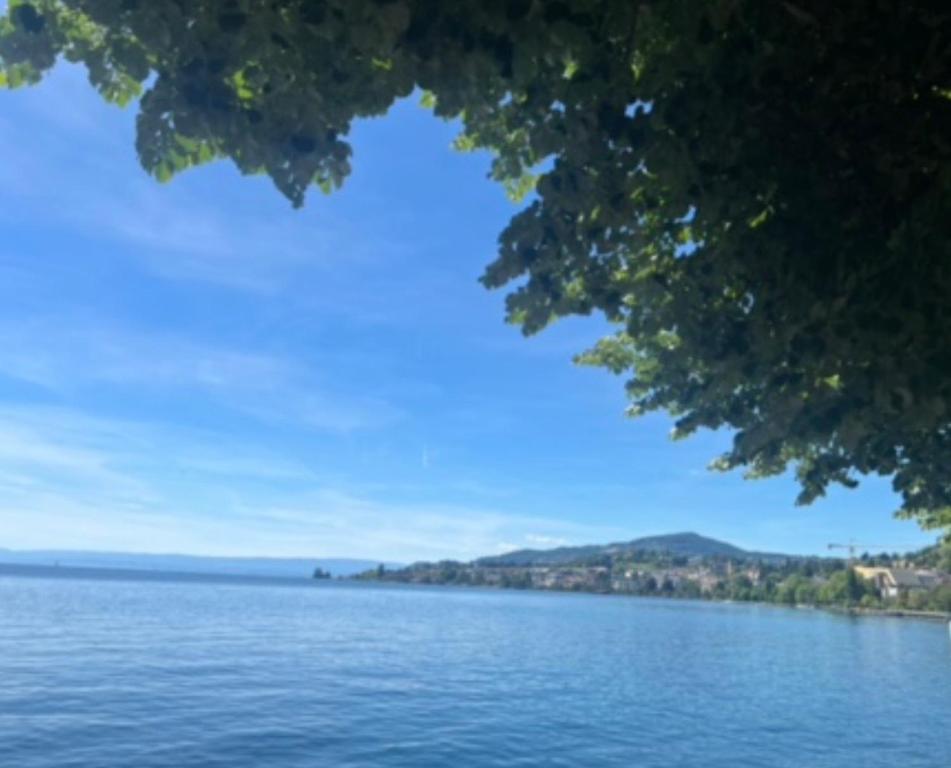 a view of a large body of water at Lake Studio in La Tour-de-Peilz