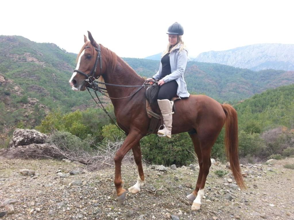 Kép Oranj Ranch Hotel szállásáról Kemerben a galériában