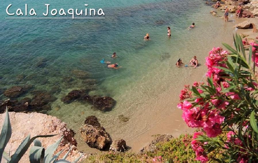 a group of people swimming in the water at the beach at Casa Bon Matí in L'Ampolla
