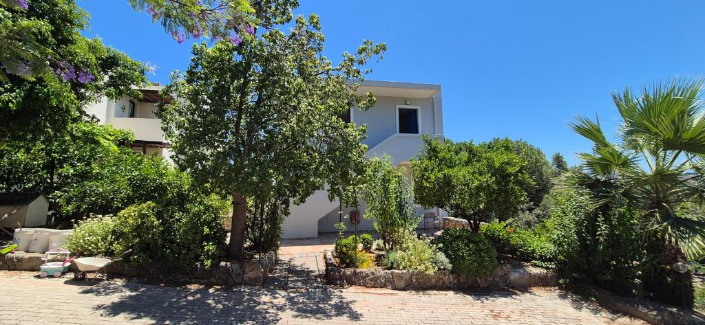 a house with trees and bushes in a yard at Villa Avra - Apartment Hydra in Asgourou
