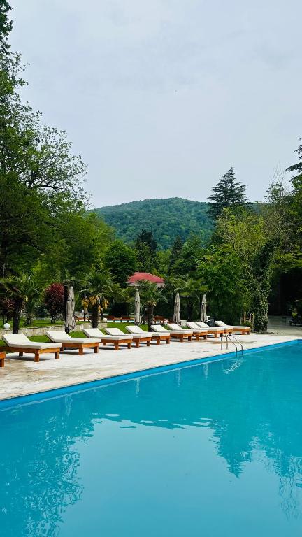 a large swimming pool with lounge chairs and trees at Wald Hotel Lagodekhi in Lagodekhi